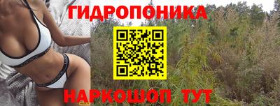 наркотики Дубна