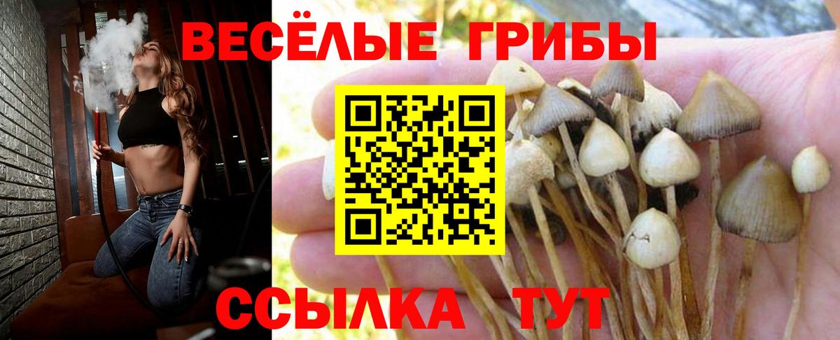 Галлюциногенные грибы ЛСД  Галлюциногенные грибы Psilocybine cubensis  Вход с VPN  Златоуст 