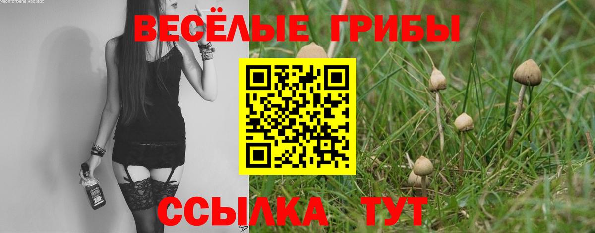 Псилоцибиновые грибы мицелий Златоуст